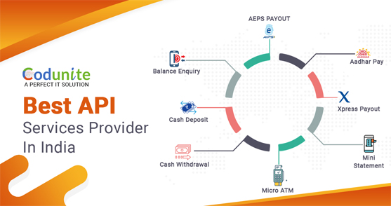 API SERVICE PROVIDE IN INDIA